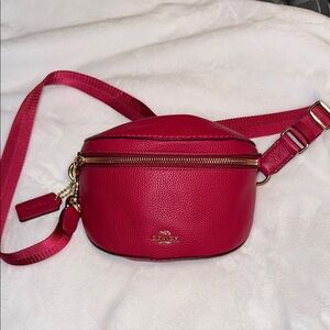 Coach pink Leather Belt Bag